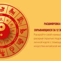 Расшифровка секретов 12 животных карты Ба Цзы в 2026 году
