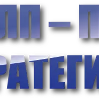 НЛП-практик. Стратегии гениев