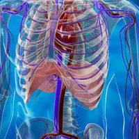 Тропы здоровья. Профилактика и целительство внутренних органов