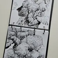 Цветы в графике