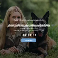 Системная дрессировка