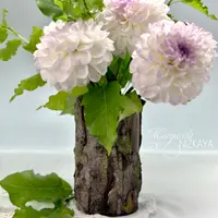 Имитация коры старого дерева