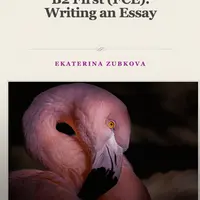 B2 First (FCE). Writing an Essay