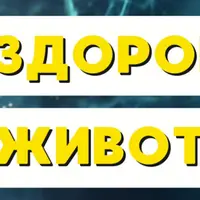 Здоровый живот