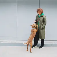 Команды: 100% выполнение