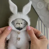 Маленький котенок в комбезе зайки