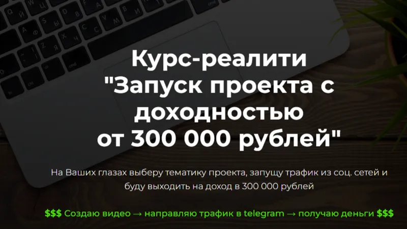 Курс-реалити Запуск проекта с доходностью от 300.000