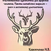 Растительные адаптогены для здоровья. Панты алтайских маралов – ключ к активному долголетию