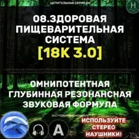 Пищеварительная система 3.0