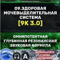 Мочевыделительная система 3.0