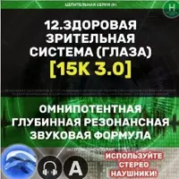 Зрительная Система 3.0
