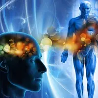 Телесное в психическом