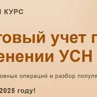 Налоговый учет при применении УСН