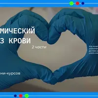 Биохимический анализ крови. Часть 2