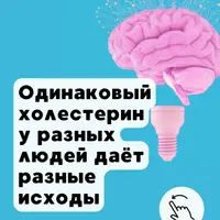 Холестерин, бляшки и статины