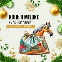 Конь в мешке