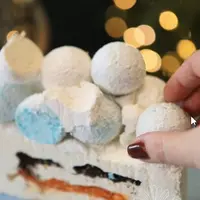 Зефирная флористика (январь 2026)