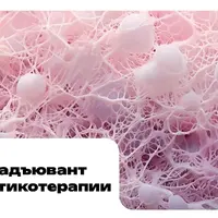 NAC как адьювент антибиотикотерапии