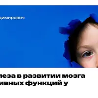 Роль железа в развитии мозга и когнитивных функций у детей