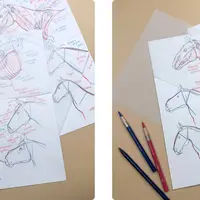 Про лошадей