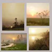 4 состояния света