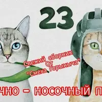 Сценарий праздника 8 марта и 23 февраля «Цветочно носочный период»