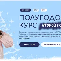 Обществознание и котики