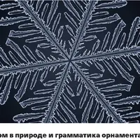 Красота форм в природе и грамматика орнамента