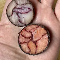 Морское меню к празднику 2