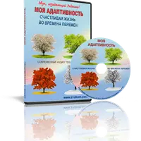 Моя адаптивность