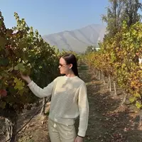 Вино по поводу и без