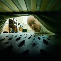 Кто-кто в теремочке живёт? Наши незаметные соседи по квартире