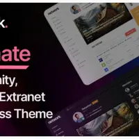 Network - Intranet, Extranet, Community WordPress Theme