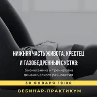 Нижняя часть живота, крестец и тазобедренный сустав: биомеханика и тренировка динамического равновесия