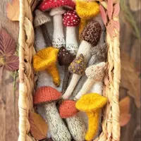 Грибная коллекция