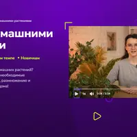 Уход за домашними растениями