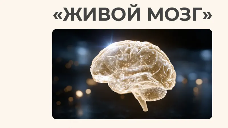 Живой мозг