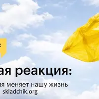 Цепная реакция: как экология меняет нашу жизнь