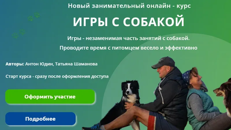 Игры с собакой