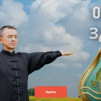 Здоровые почки