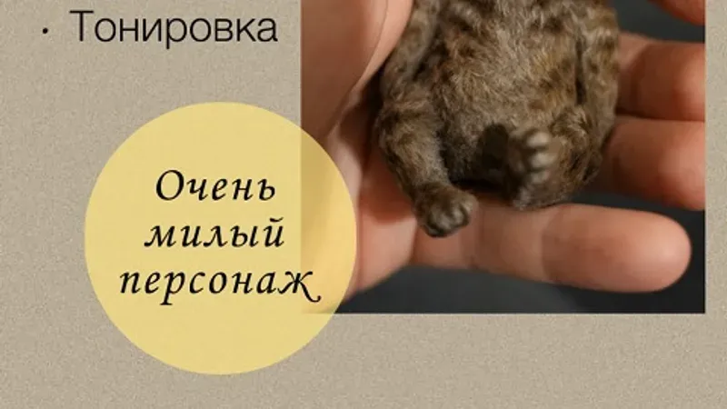 Котёнок на ладошке