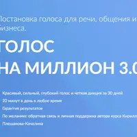 Голос на миллион 3.0