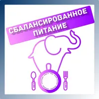 Сбалансированное питание: мифология и морфология