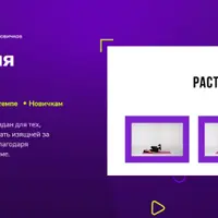 Растяжка для новичков