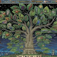 Как ломается древо жизни: молекулярная революция в биологии