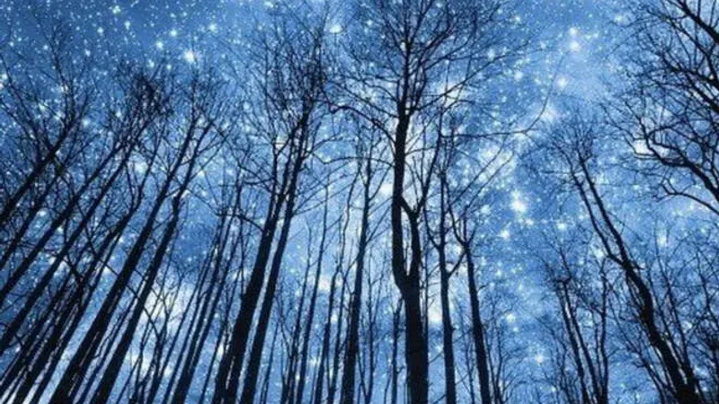 Астрология налегке. Февраль-март 2026