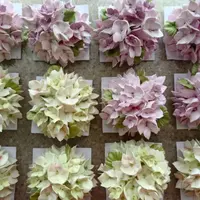 Зефирная флористика: Гортензия