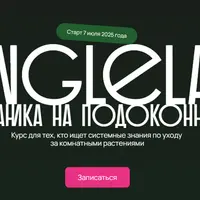 JungleLab - Ботаника на подоконнике