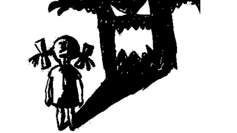 Принятие и тень