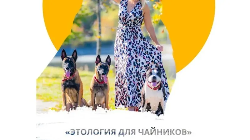 Этология собак для чайников